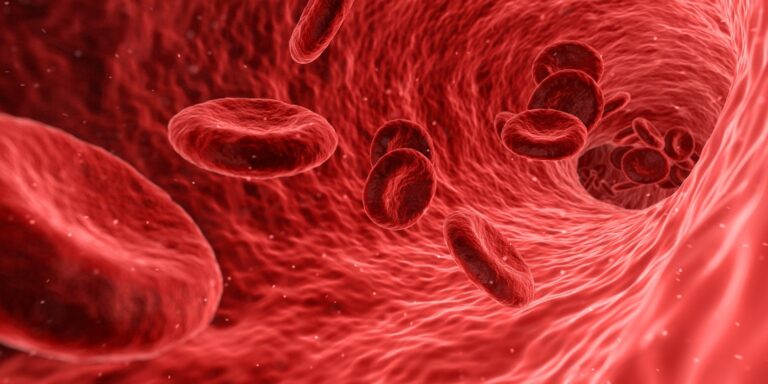Types of Anemia: How Doctors Tell Them Apart types of anemia red blood cells flowing in blood vessel