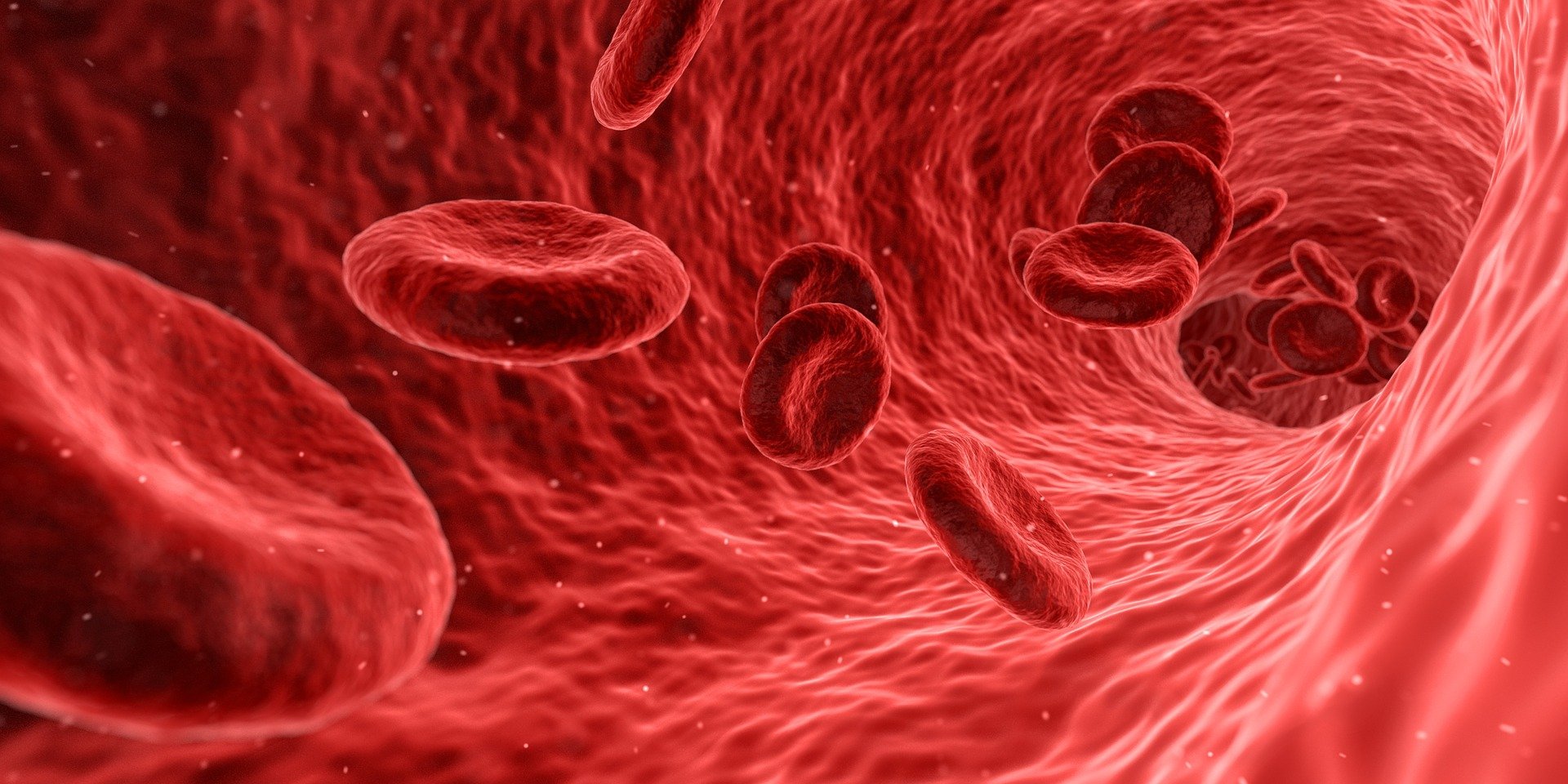 Types of Anemia: How Doctors Tell Them Apart