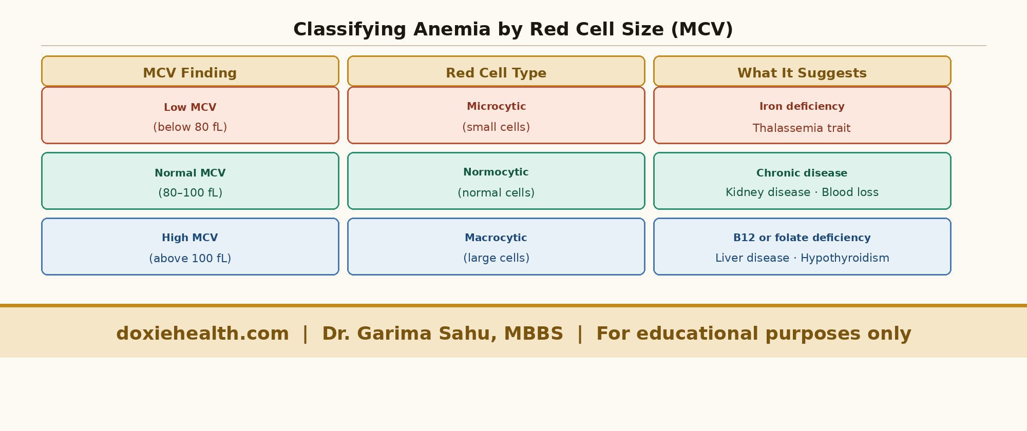 types of anemia classification by red cell size MCV microcytic normocytic macrocytic