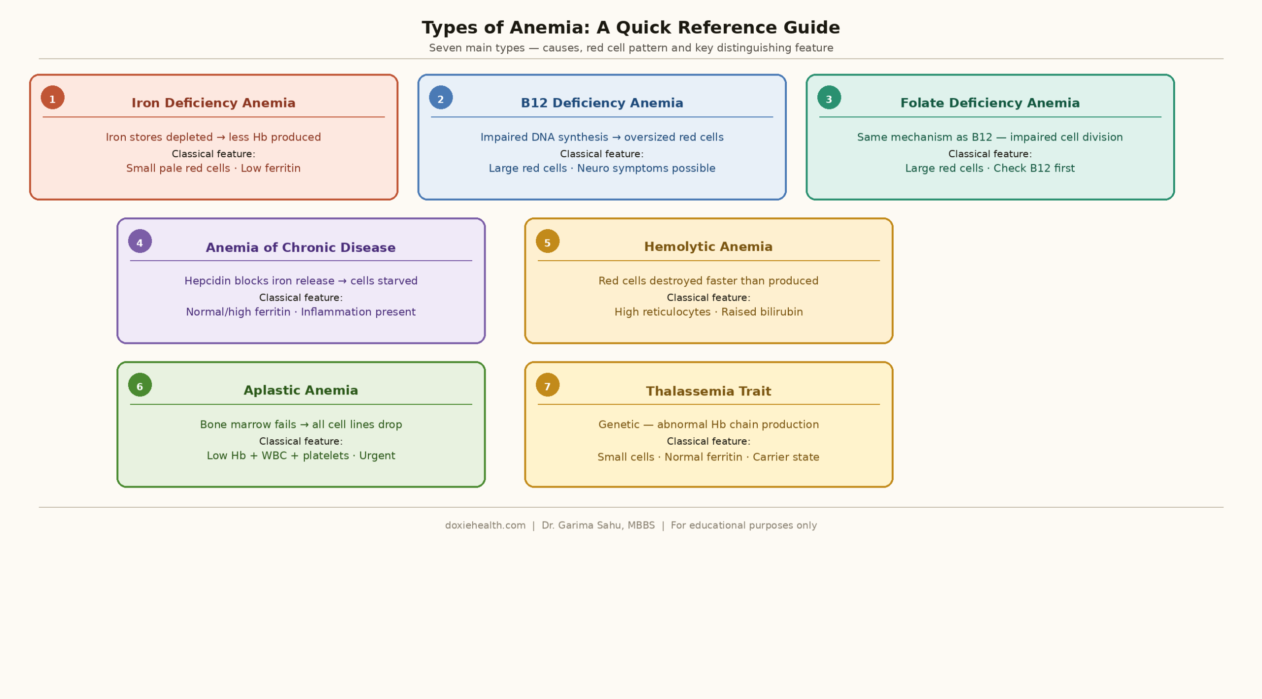 types of anemia overview iron deficiency b12 folate chronic disease hemolytic aplastic thalassemia