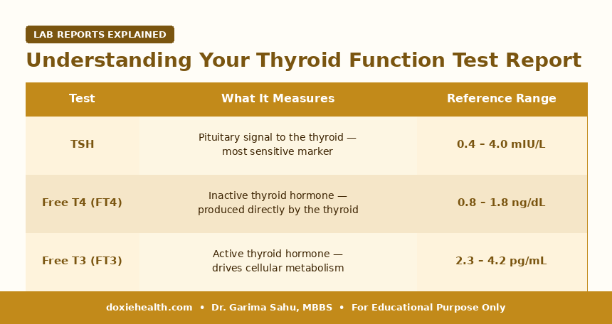 Thyroid function test reference ranges for TSH, Free T4 and Free T3 — DoxieHealth