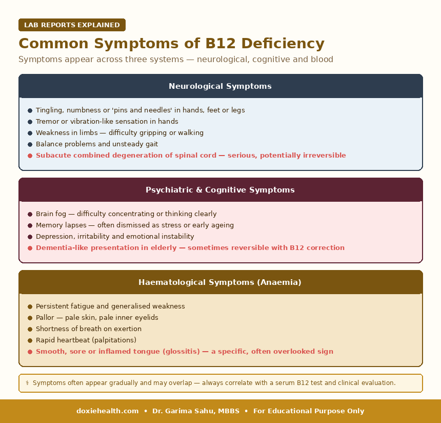 Common symptoms of Vitamin B12 deficiency including neurological, cognitive and anaemia-related signs